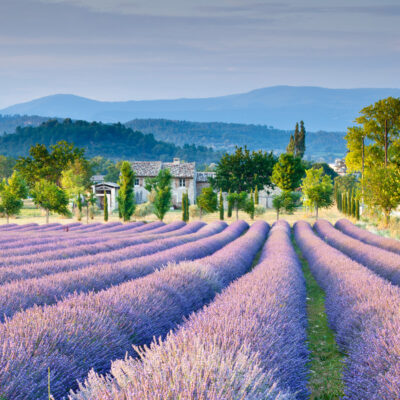 bucoliques-de-provence